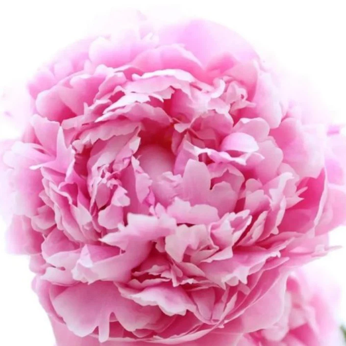 292cfd3f-c88a-469b-bdb9-3984771954dd 292cfd3f-c88a-469b-bdb9-3984771954dd